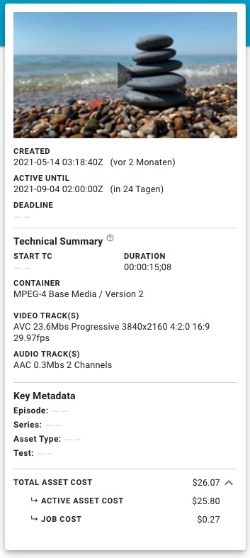 Asset cost visible on the Asset Details page.