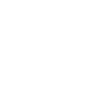 A black and white logo with the words ladb for sdvi and tmt insights