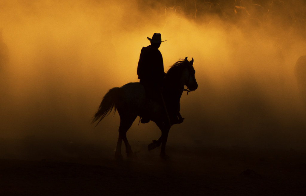 silhouette of a man riding a horse