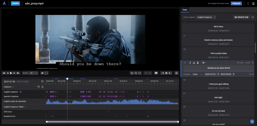 screen shot of a movie being viewed on a computer screen