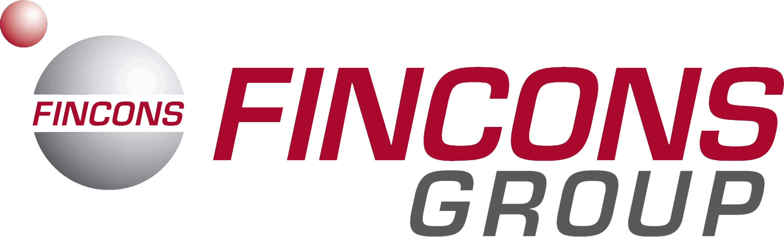 logo for the fincons group, SDVI Rally Partner Ecosystem