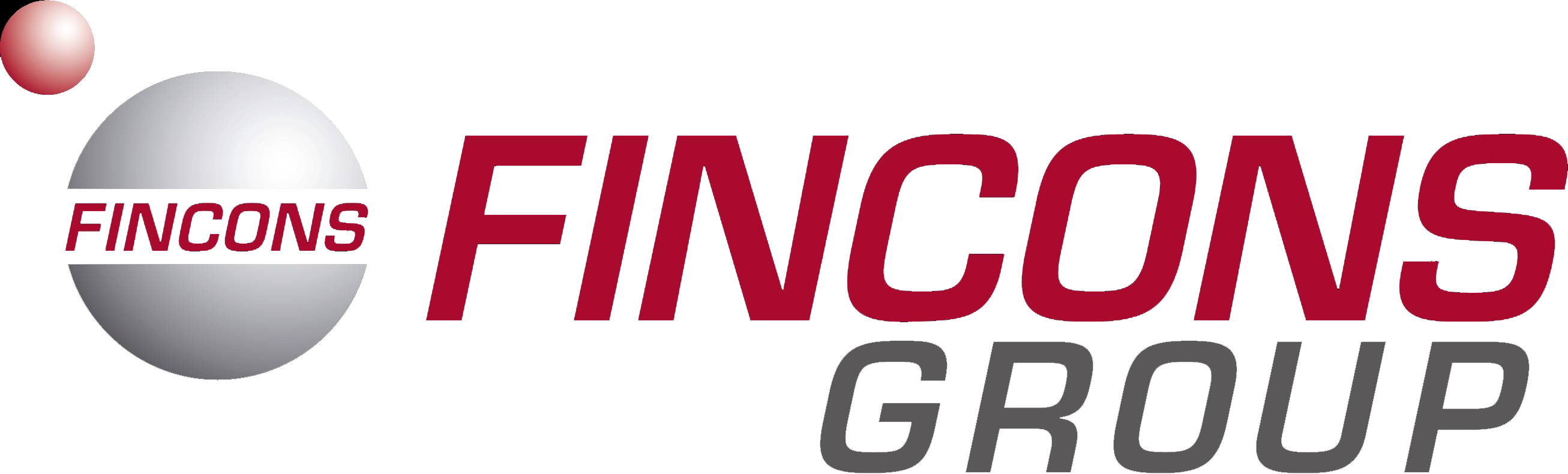 logo for the fincons group, SDVI Rally Partner Ecosystem