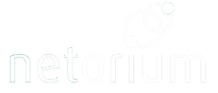 logo for the company, netorium, featuring sdvi and tmt insights