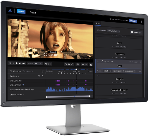 computer monitor displaying an image of a woman, showcasing rally access on the screen